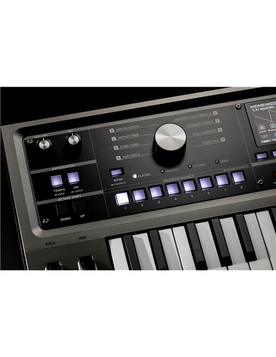 MICROKORG 2