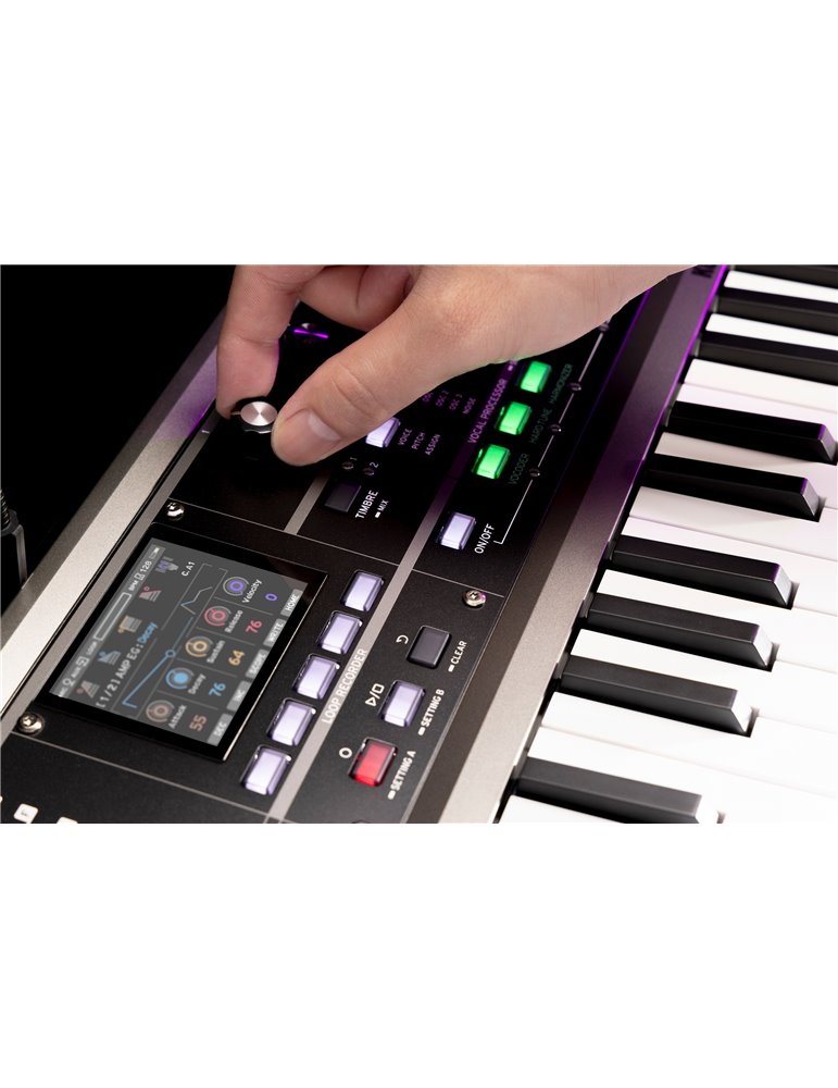 MICROKORG 2