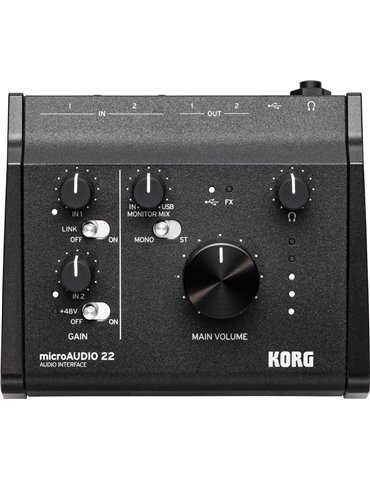 MICROAUDIO22