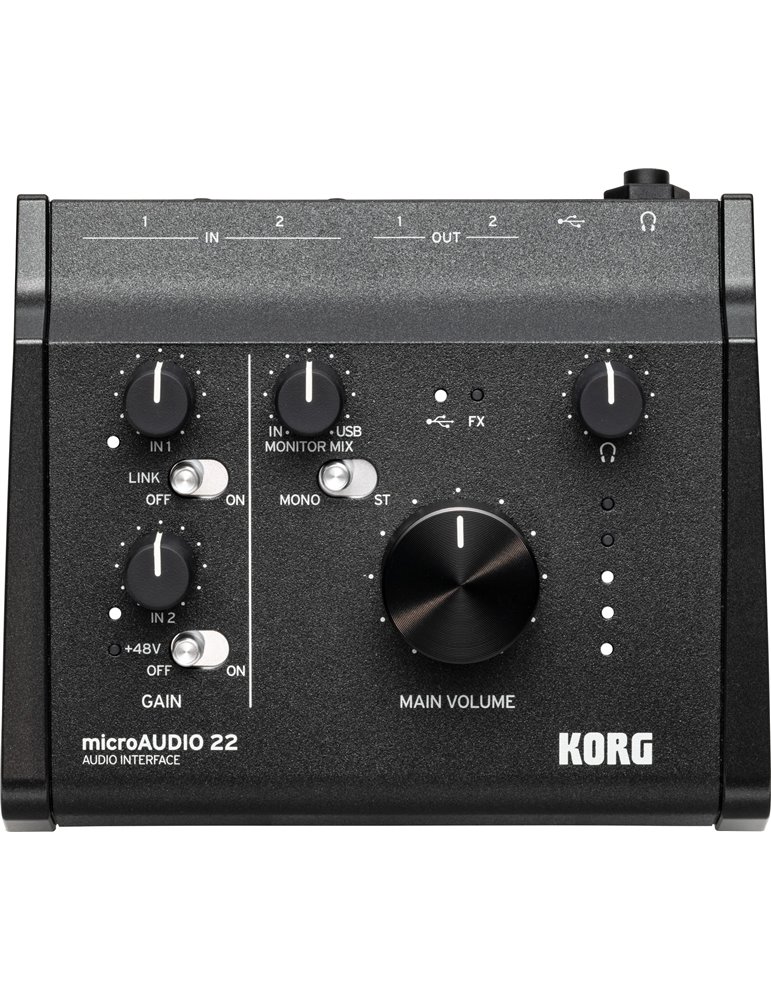 MICROAUDIO22