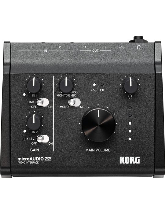 MICROAUDIO22