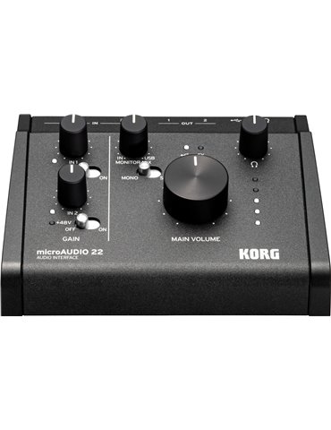 MICROAUDIO22 2