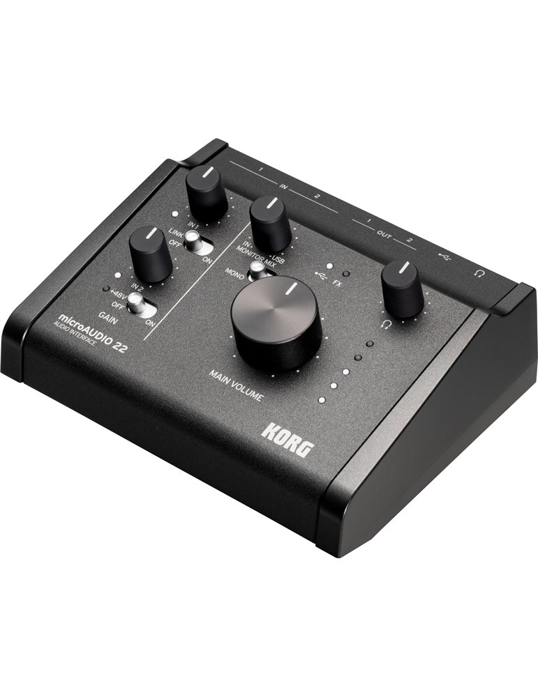 MICROAUDIO22