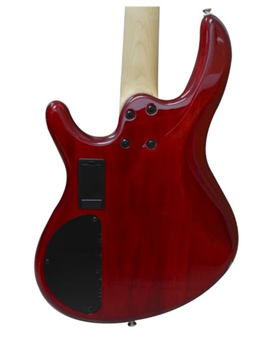 ACTION BASS PLUS TR