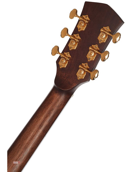 GOLD-D8 LB LIGHT BURST