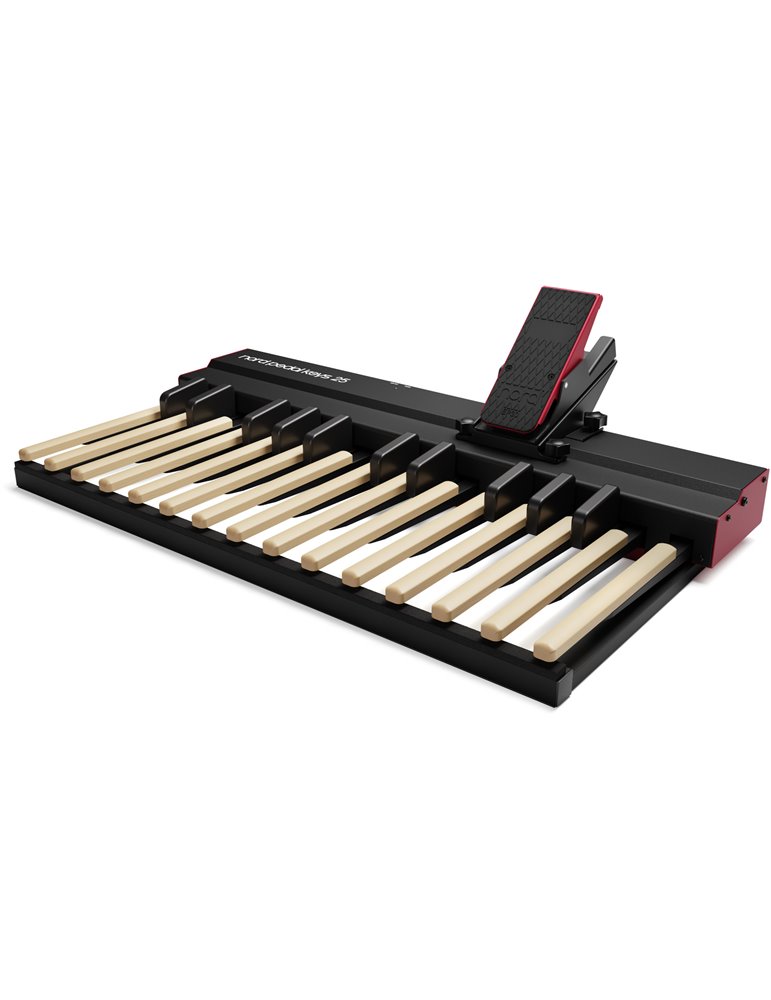 PEDAL KEYS 25