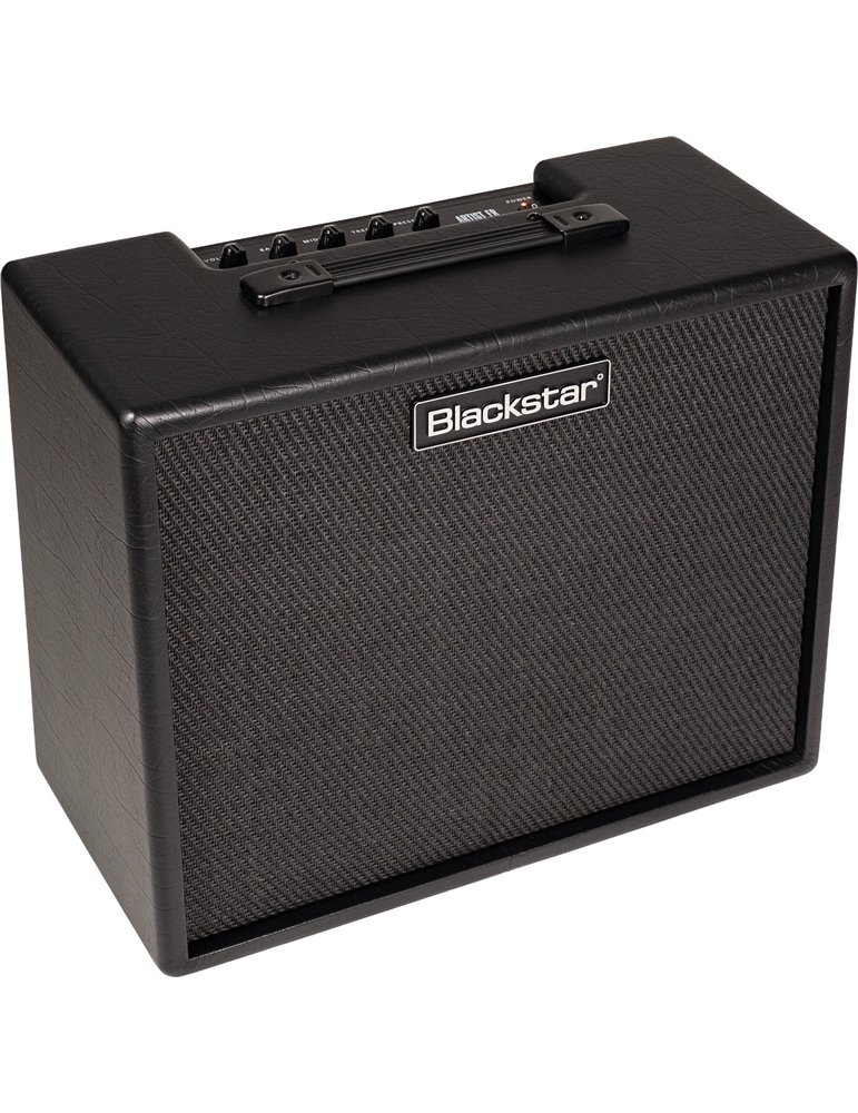 ARTIST FR SPECIAL 100W 1X12