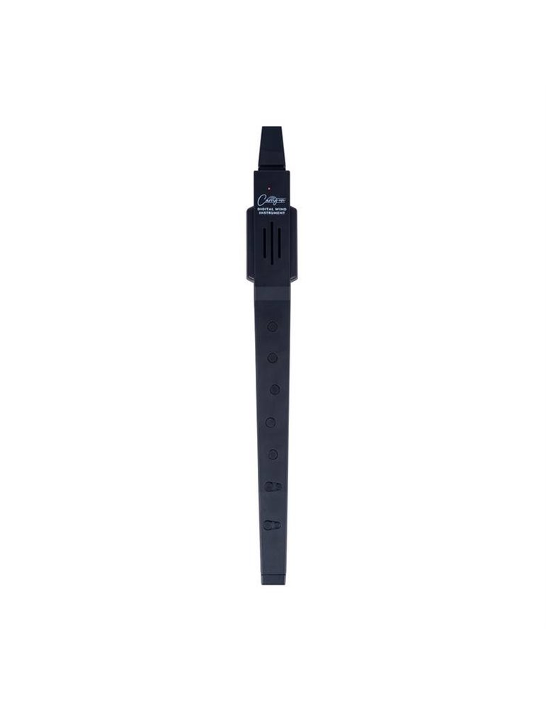 DIGITAL WIND INSTRUMENT BLACK