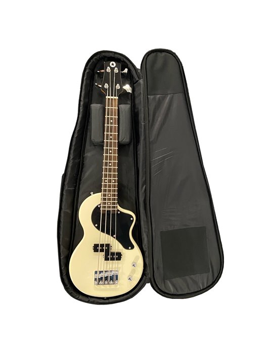 CARRY-ON-BASS-GB - BASS GIG BAG