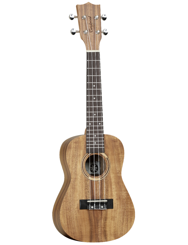 UKELELE CONCIERTO TANGLEWOOD TWT8