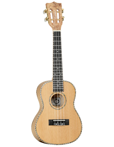 UKELELE CONCIERTO TANGLEWOOD TWT11