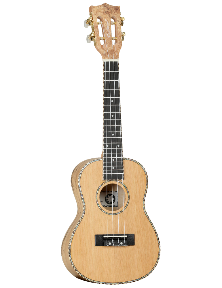 UKELELE CONCIERTO TANGLEWOOD TWT11