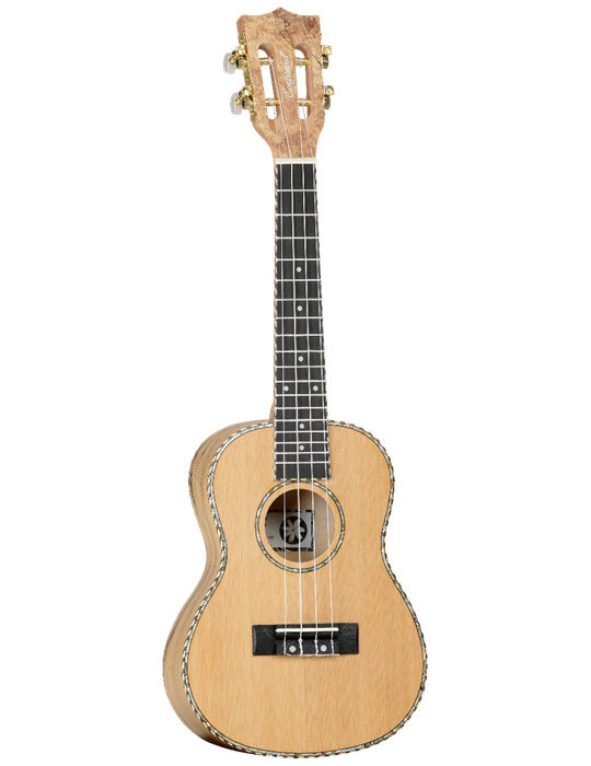 UKELELE CONCIERTO TANGLEWOOD TWT11
