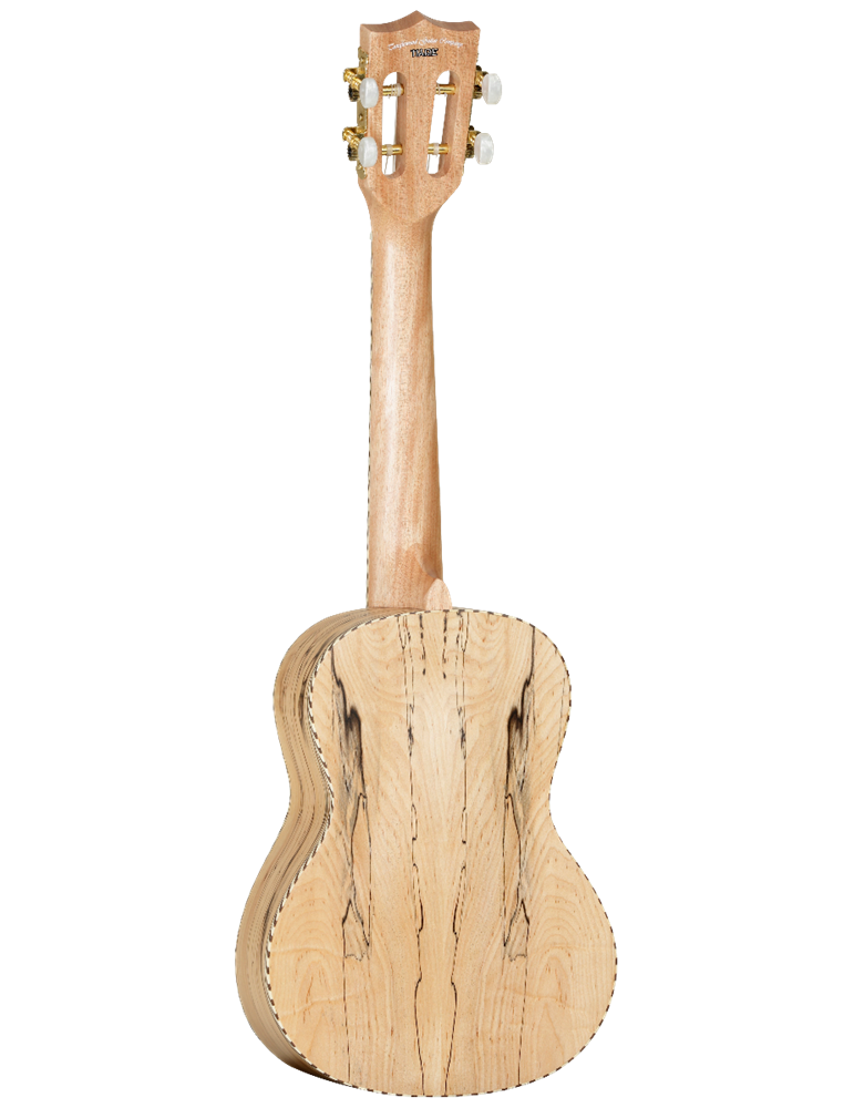 UKELELE CONCIERTO TANGLEWOOD TWT11
