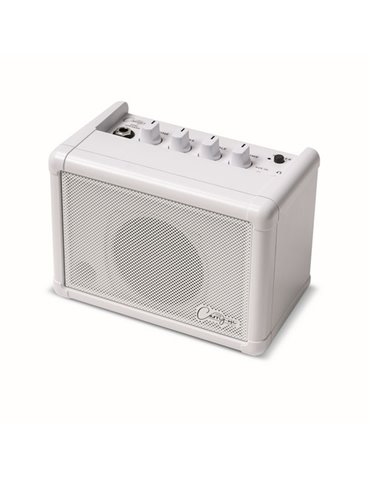 CO-SPEAKER - MINI SPEAKER