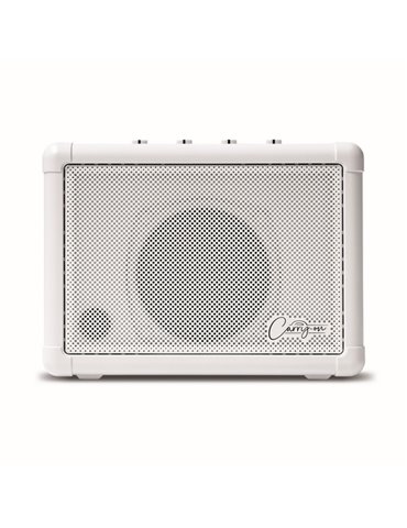 CO-SPEAKER - MINI SPEAKER 2