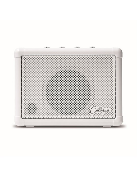 CO-SPEAKER - MINI SPEAKER