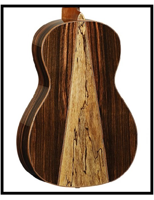 GUITARRA ACÚSTICA TANGLEWOOD TWJPE PARLOUR