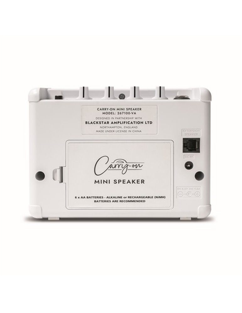 CO-SPEAKER - MINI SPEAKER