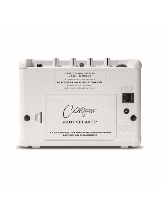 CO-SPEAKER - MINI SPEAKER