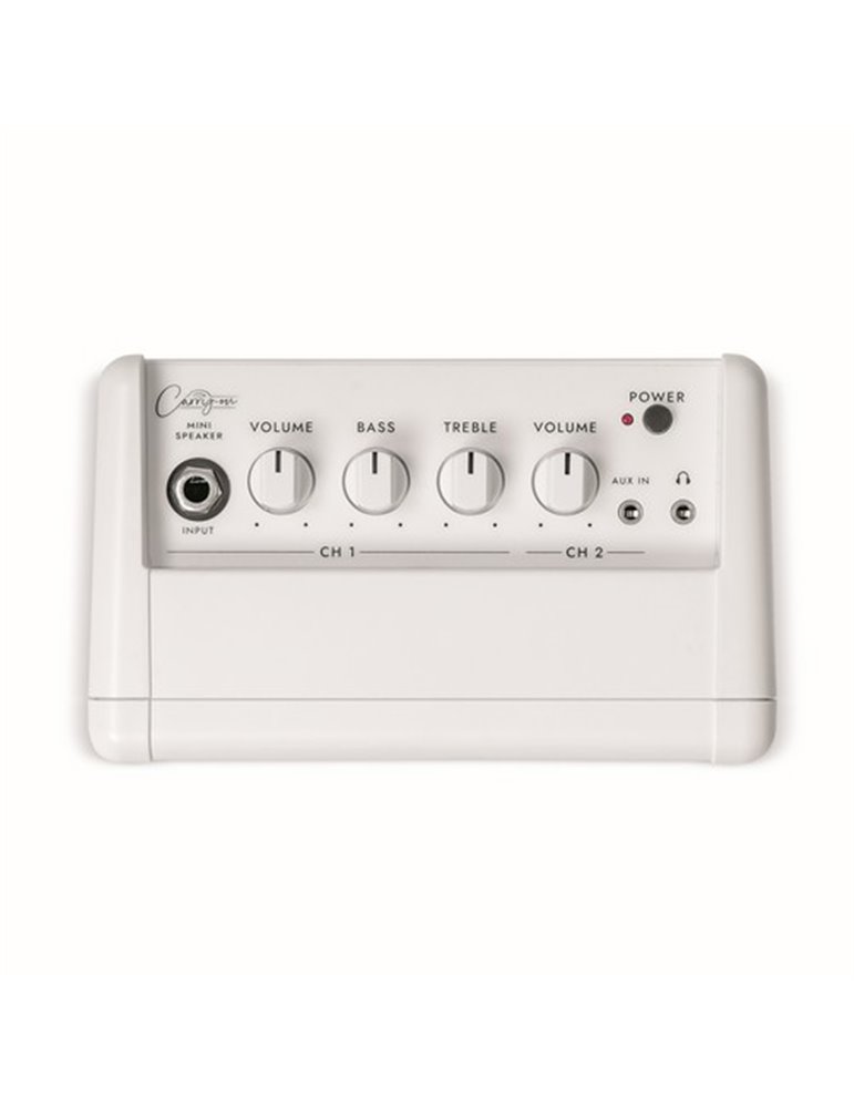 CO-SPEAKER - MINI SPEAKER