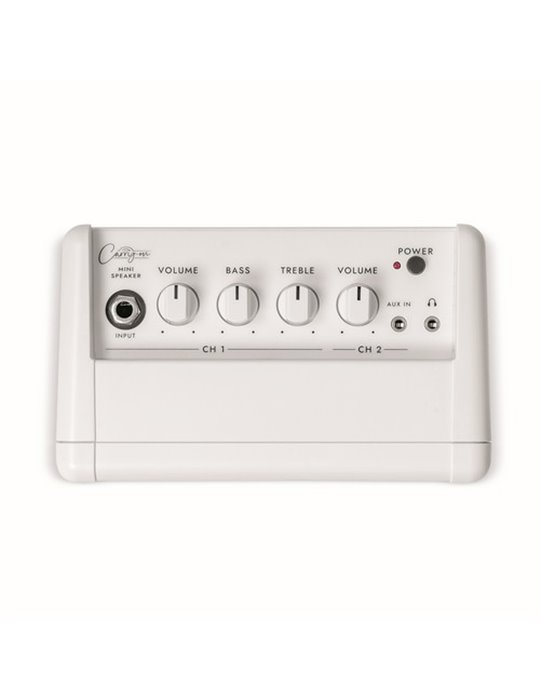 CO-SPEAKER - MINI SPEAKER