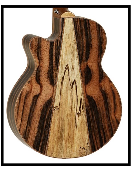 GUITARRA ACÚSTICA TANGLEWOOD TWJSFCE SUPER FOLK
