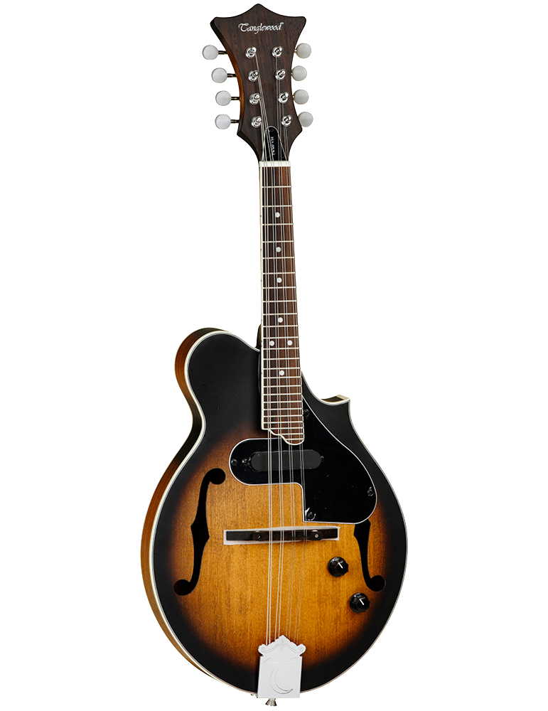 MANDOLINA TANGLEWOOD TWMFVSE