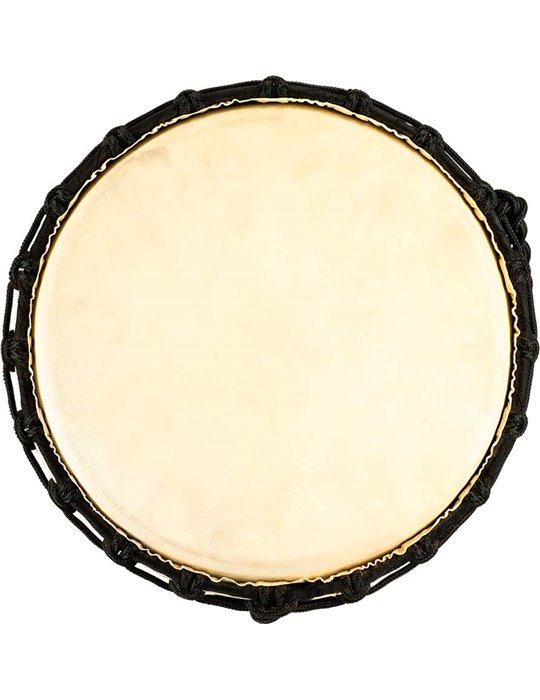 HDJ1-L