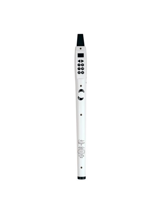 CO-DWI2-WT - DIGITAL WIND INSTRUMENT 2 - BLANCO
