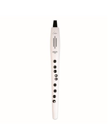CO-DWI2PLUS-WT - DIGITAL WIND INSTRUMENT PLUS - BLANCO