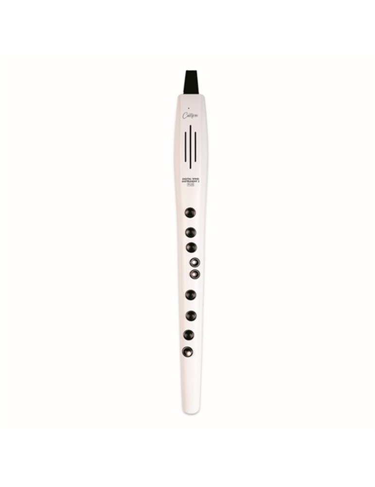 CO-DWI2PLUS-WT - DIGITAL WIND INSTRUMENT PLUS - BLANCO