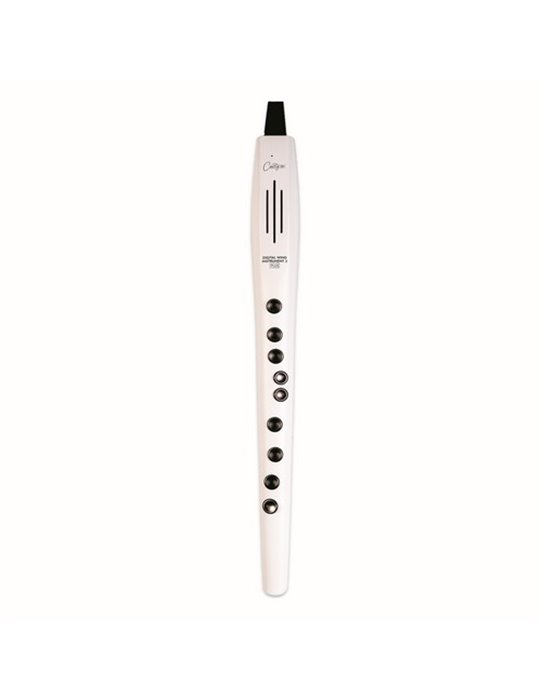CO-DWI2PLUS-WT - DIGITAL WIND INSTRUMENT PLUS - BLANCO