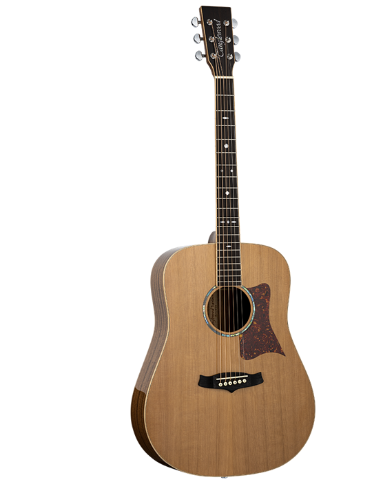 GUITARRA ACÚSTICA TANGLEWOOD TW15R SERIE SUNDANCE PERFORMANCE PRO