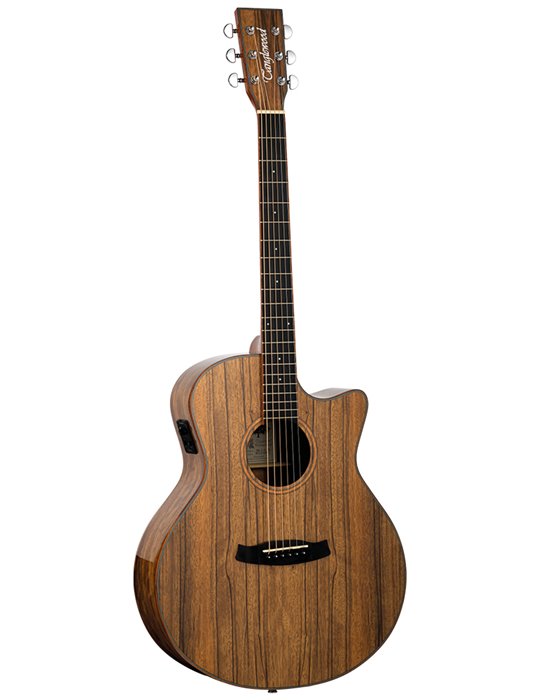 GUITARRA ACÚSTICA TANGLEWOOD SERIE WINTERLEAF EXOTIC PACIFIC WALNUT