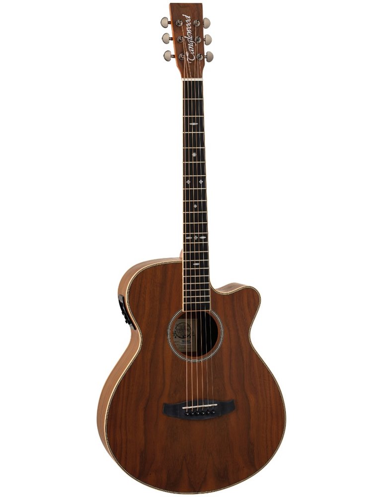 GUITARRA ACÚSTICA TANGLEWOOD TRU4CEAW