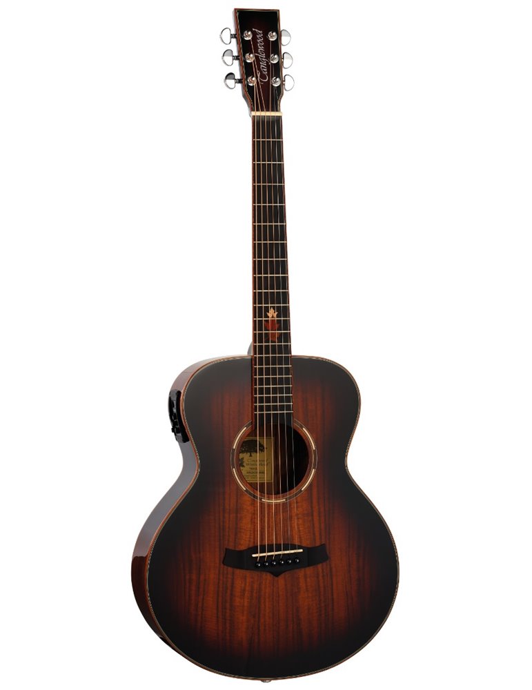 GUITARRA ACÚSTICA TANGLEWOOD TWX1EK