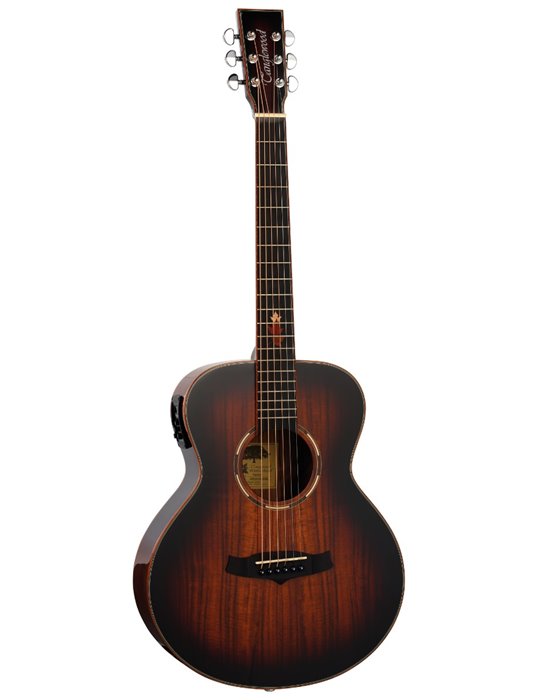 GUITARRA ACÚSTICA TANGLEWOOD TWX1EK