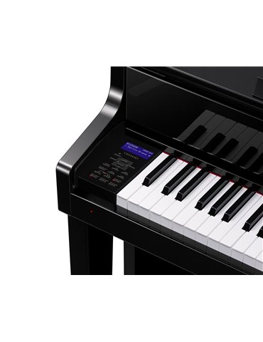 CELVIANO GRAND HYBRID GP-510 2