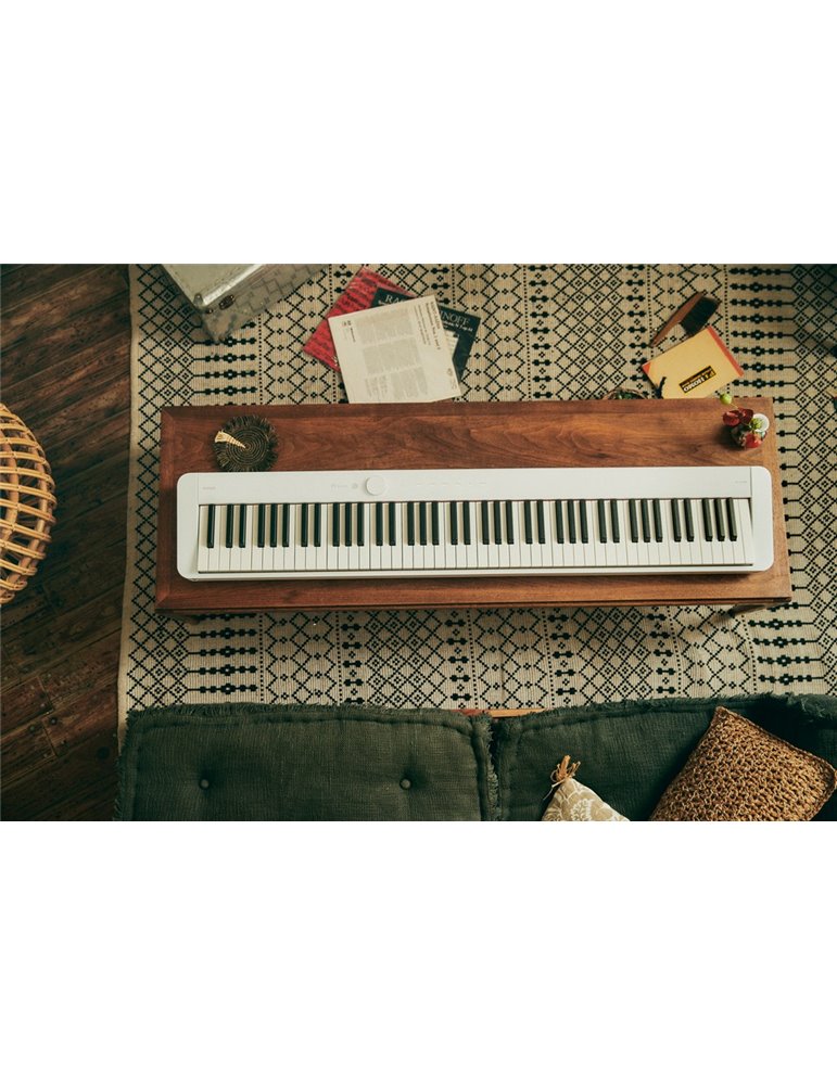 PRIVIA PX-S1100WE KIT