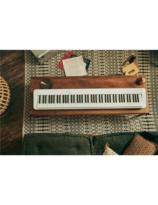 PRIVIA PX-S1100WE KIT