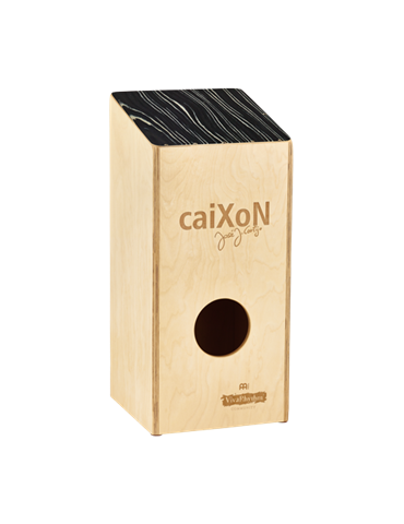 VR-CAIX 2