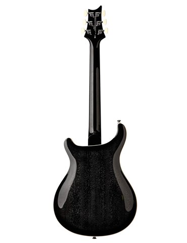 SE HOLLOWBODY STANDARD DH DOG HAIR SMOKEBURST 2