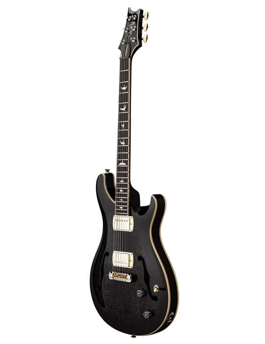 SE HOLLOWBODY STANDARD DH DOG HAIR SMOKEBURST