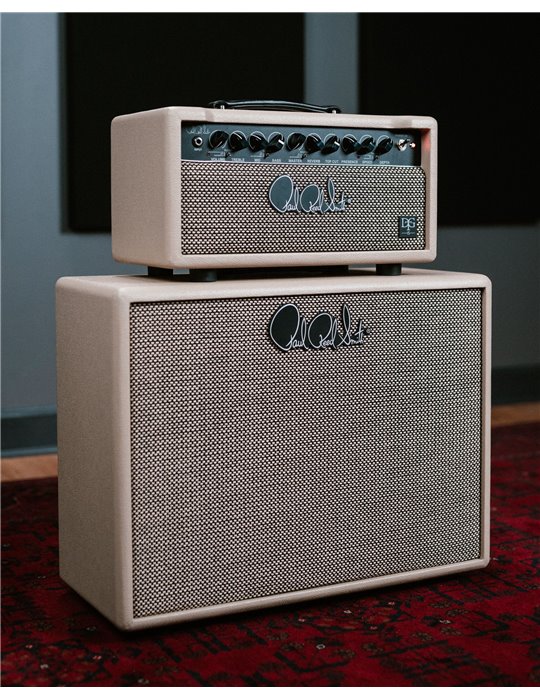 STACK DAVID GRISSOM DGT15 HEAD + DG 1X12 CAB