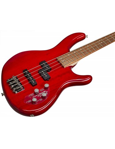ACTION BASS PLUS TR 2
