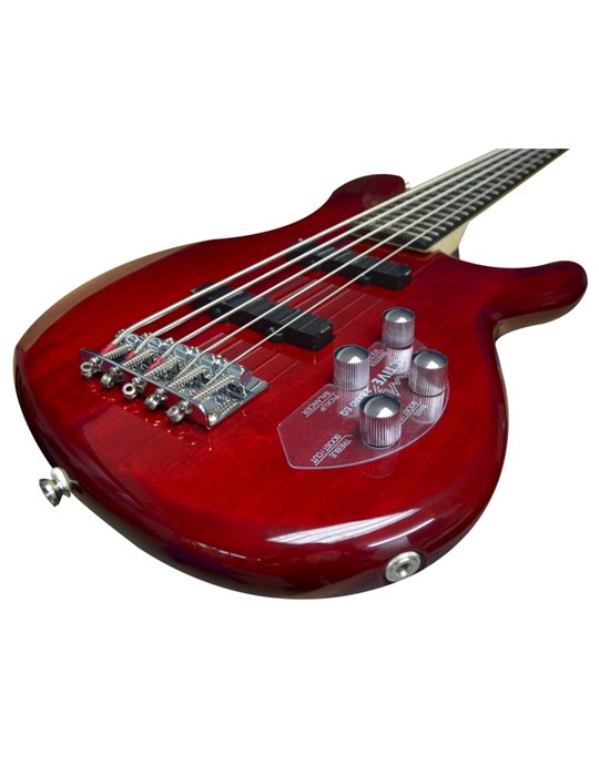 ACTION BASS V PLUS TR