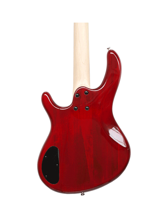 ACTION BASS V PLUS TR