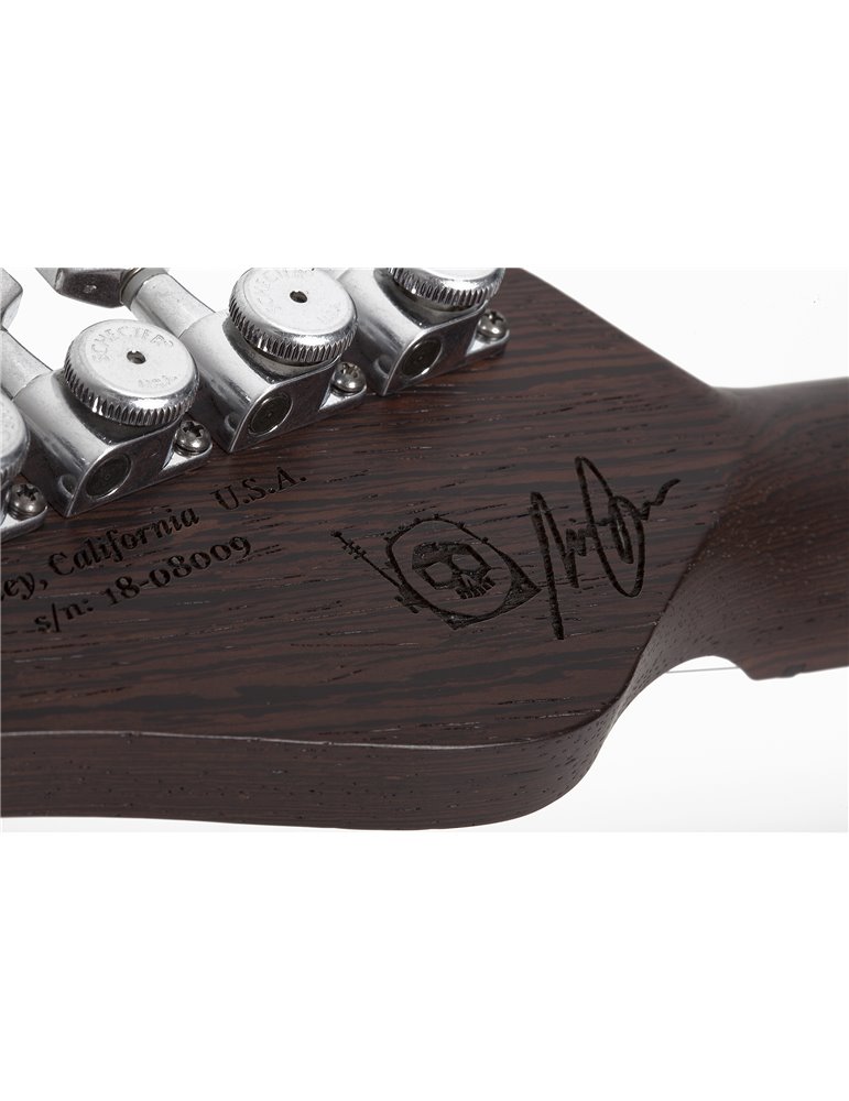 NICK JOHNSTON USA 'WEMBLEY'  SSS A. FROST