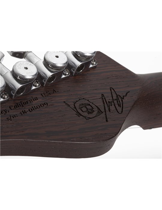 NICK JOHNSTON USA 'WEMBLEY'  SSS A. FROST